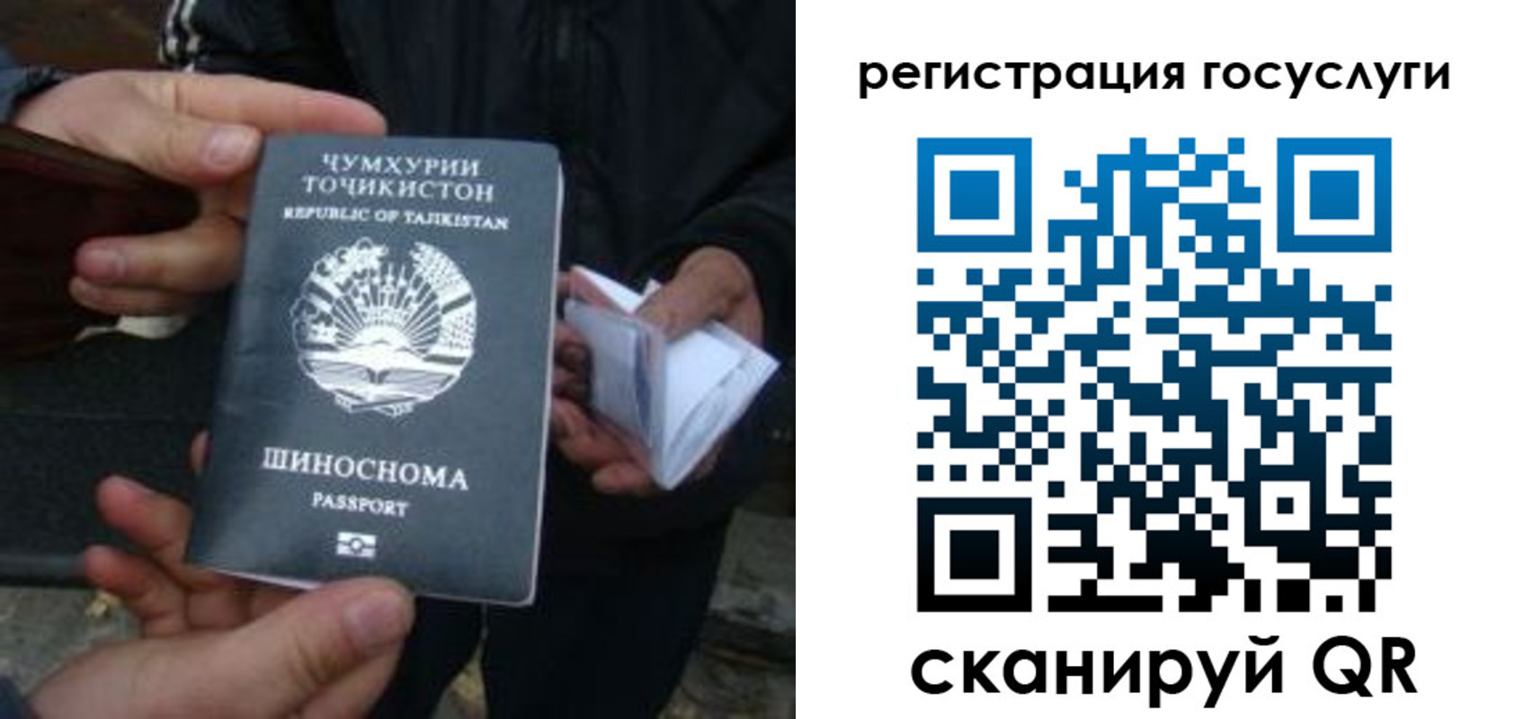 прописка регистрация в Заринске